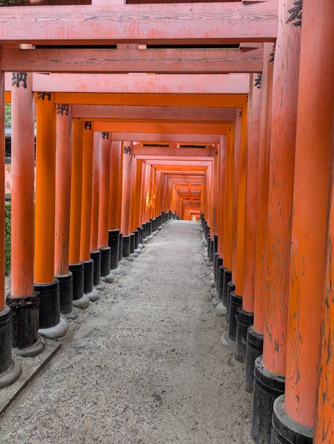       Klantbeoordelingsfoto van Japan klassiek – One Life Adventures – 14 dagen 
  