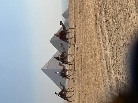       Caravan of tourists on camels passing in front of the pyramids on Giza plateau.
  