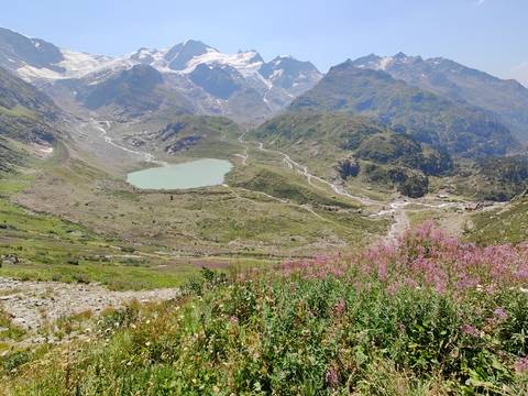       Alpine valley with turquoise tarn, serpentine trails and blooming pink wildflowers.
  