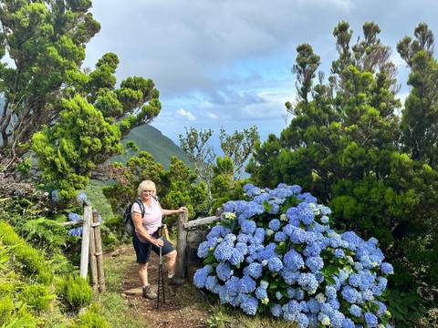       Smiling hiker standing beside blooming blue hydrangeas on a lush mountain trail with distant ocean views under partly cloudy skies.
  