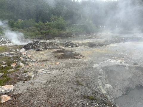       Steamy geothermal field with rocky ground, fumaroles, and mist rising amid lush forest backdrop.
  