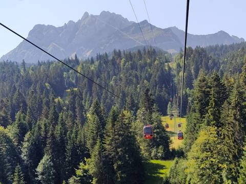       Red gondola cabins glide over dense pine forest toward towering alpine peaks.
  