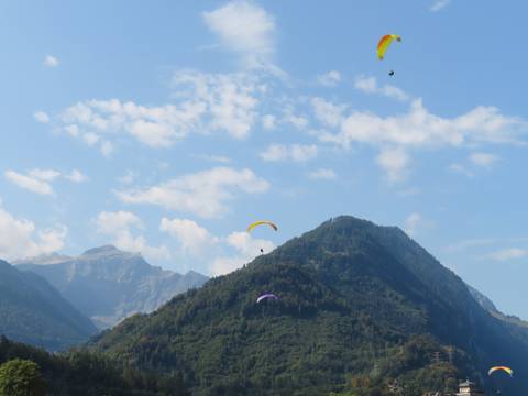       Several colorful paragliders hover above a forested mountain peak against a vivid sky.
  