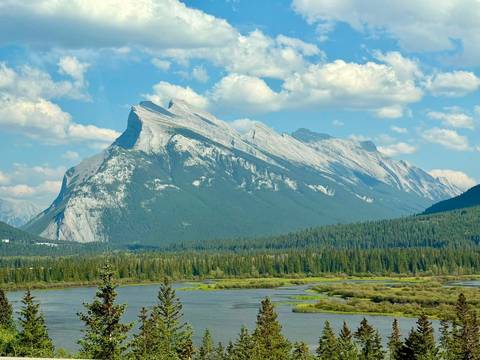       Iconic slanted Mount Rundle rising above wetlands and pine forest under a blue sky.
  