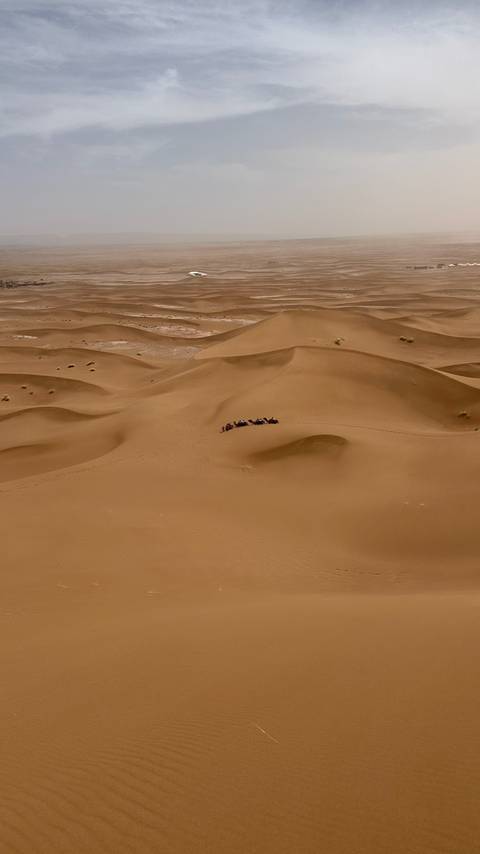       Tiny camel caravan crosses vast rolling sand dunes in a remote desert landscape.
  