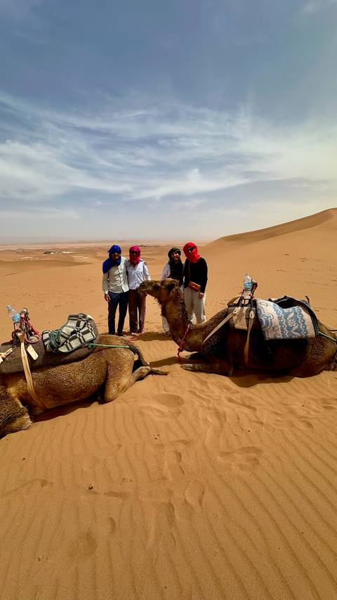       Group stands between resting camels equipped with colorful saddles on golden dunes.
  