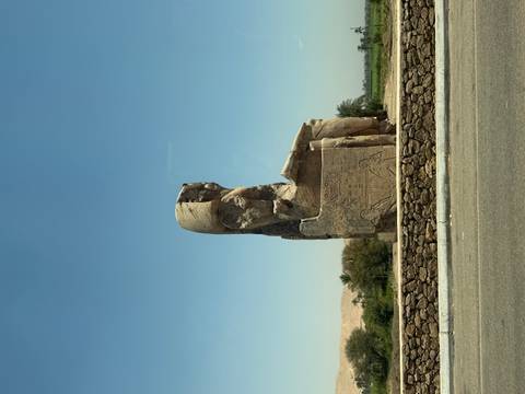       Colossi of Memnon statue seated majestically beside road with palm trees and fields in the distance.
  