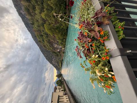       Flower-filled railing overlooking aquamarine alpine river and wooded hills.
  