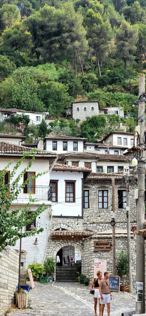       Cluster of traditional white houses with brown tiled roofs on a green hillside.
  