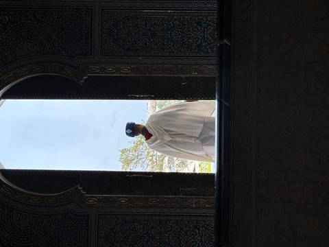       Royal guard dressed in white cloak framed by an ornate arched doorway, gazing outside.
  