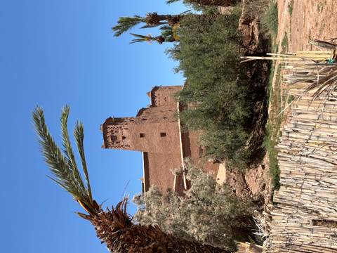       Tall mud-brick tower of a kasbah framed by palms and blue sky with a rustic bamboo fence in front.
  