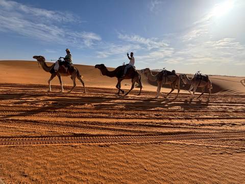       Camel caravan strides across rippled orange dunes under a bright morning sky, a rider waving enthusiastically.
  