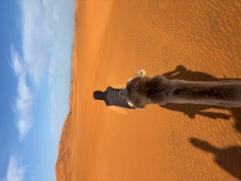       View from camelback following a guide across endless orange dunes beneath a blue sky streaked with clouds.
  