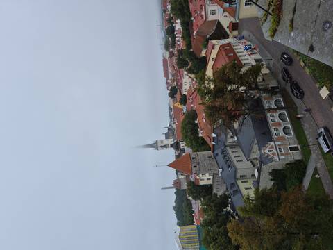       Panoramic viewpoint over Tallinn’s red-roofed Old Town with spires piercing a misty grey sky.
  