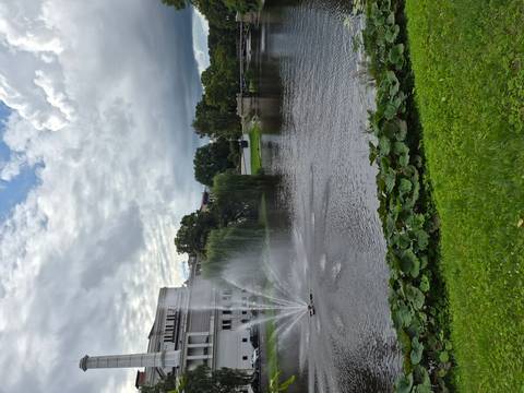       Peaceful city park with a spraying fountain beside a calm pond fringed by lilies and trees.
  