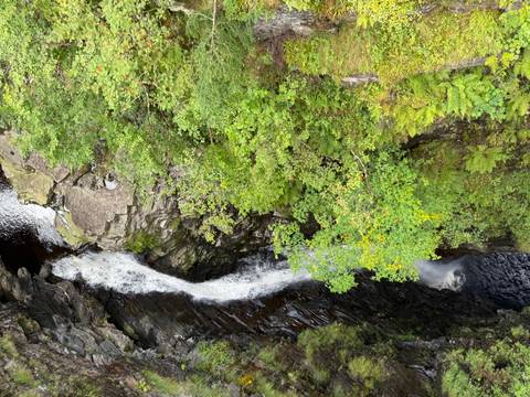       Narrow waterfall plunging through a rocky gorge surrounded by dense green vegetation viewed from above.
  