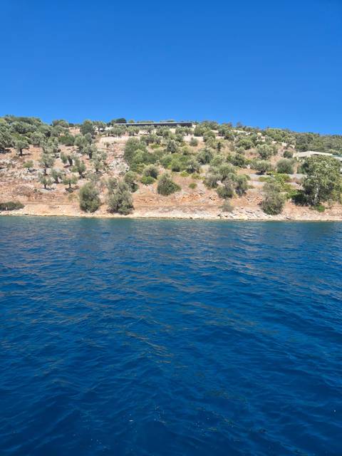       Rocky, shrub-covered coastline beside deep blue water captured from boat.
  