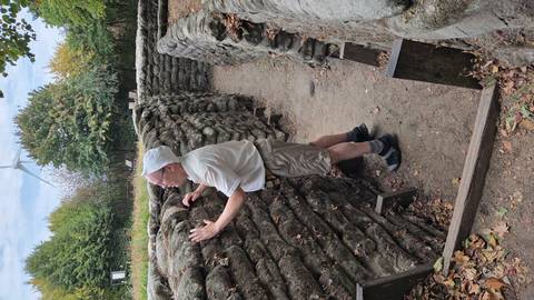       Visitor examining preserved World War trench walls made of stacked sandbags in a wooded outdoor site.
  