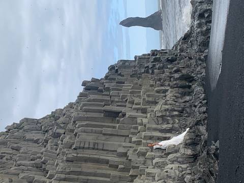       A woman in a white dress stands against dramatic basalt columns on a black-sand beach with the ocean in the background.
  