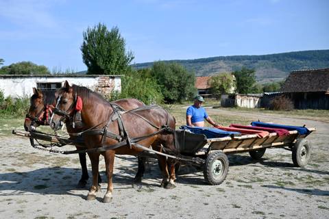       Local farmer sitting on a wooden horse cart harnessed to two brown horses in rural Romania.
  