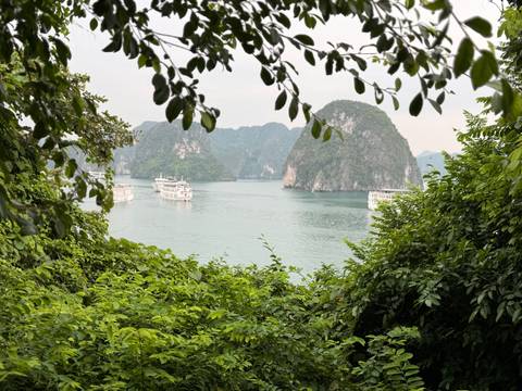       Scenic view of emerald karst islands and cruise boats on Halong Bay framed by foliage.
  