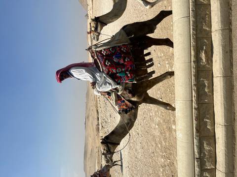       Bedouin guide in traditional attire rides a camel across a desert plateau.
  