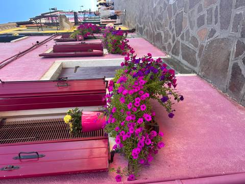      Close-up of bright magenta flowers decorating pink house façade with red shutters in Burano.
  