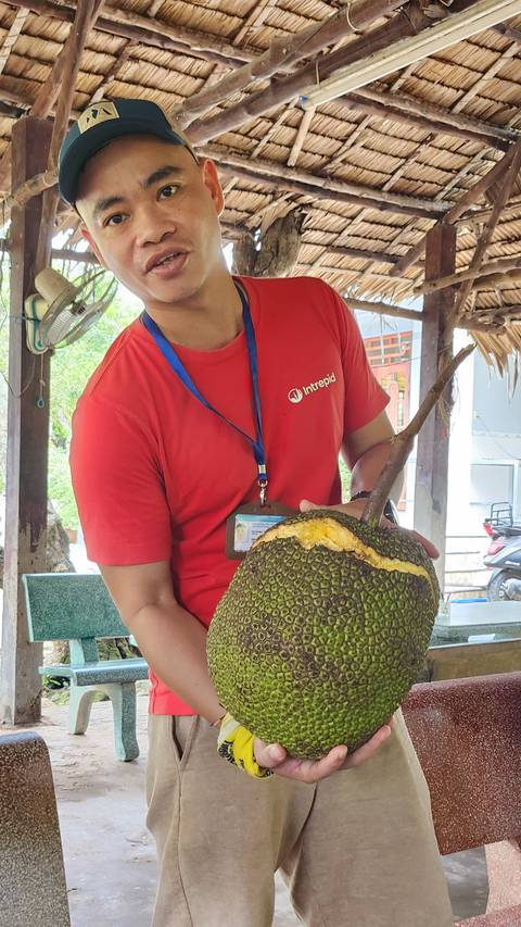       Person holding a large fruit, possibly a jackfruit.
  