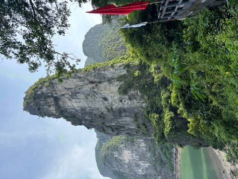       Steep limestone karst peak covered with lush vegetation towers over a green river valley.
  