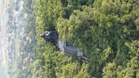      Large Buddha statue stands on a forested hilltop accessed by a long staircase above dense greenery.
  