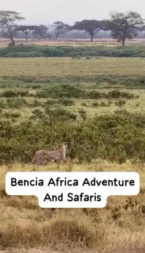       foto de reseña de cliente de Safari económico de 5 días a Masai Mara, Lago Nakuru y Puerta del Infierno 
  