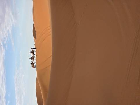       Caravan of camels with riders silhouetted atop towering orange Sahara dunes.
  
