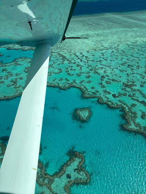       Aerial window view of turquoise coral formations including the famous heart-shaped reef in clear blue water.
  