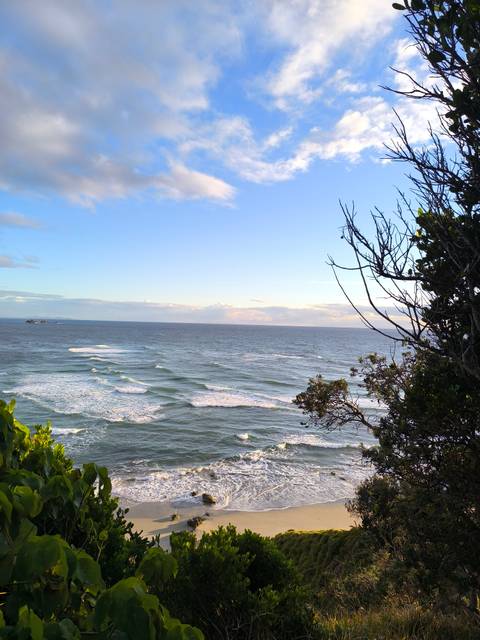       Wide seascape of rolling waves under a pastel evening sky framed by coastal vegetation.
  