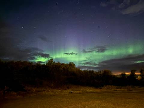       Brilliant green northern lights dancing over silhouetted trees under a starry sky.
  