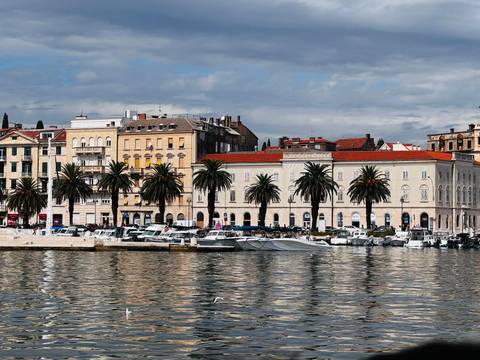       Palm-lined waterfront promenade with historic buildings reflected in calm harbour waters.
  