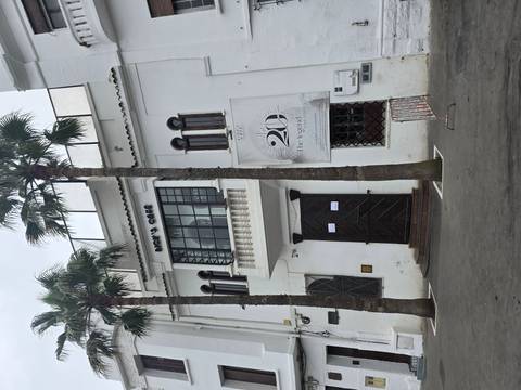       White-washed facade of Rick’s Café with arched windows and palm trees lining the sidewalk.
  