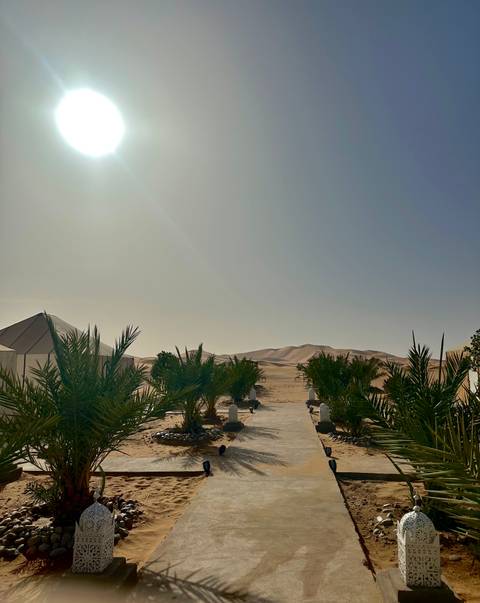       Desert camp entrance lined with palm plants looking out to rolling golden sand dunes under a bright sky
  