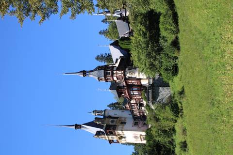       Elegant Neo-Renaissance castle with pointed spires rising above a forested hillside on a clear day.
  