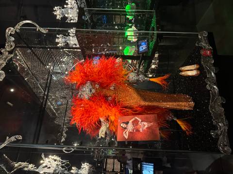      Glittering stage costume with red feathers displayed in a glass case
  