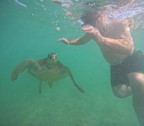       Snorkeler swimming beside a sea turtle in greenish tropical water.
  
