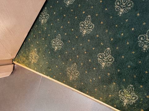       Close-up of patterned green carpet near a doorway.
  
