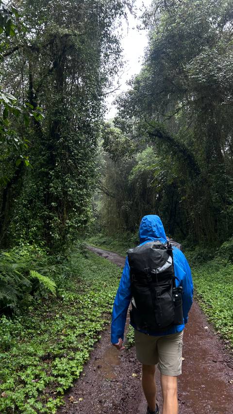       Back view of a hiker in a blue rain jacket walking through a lush, misty forest trail
  