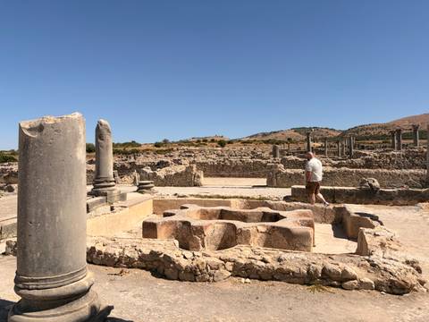       A lone visitor surveys the ruined Roman columns and mosaicked foundations of Volubilis beneath a bright blue sky.
  