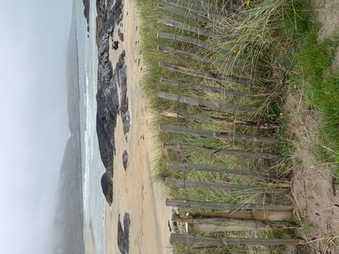       Wind-weathered wooden fence bordering grassy dunes leading to a grey, windswept beach and rolling surf.
  