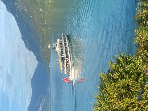       Passenger steamboat flying the Swiss flag gliding across a turquoise alpine lake with forested mountains beyond.
  