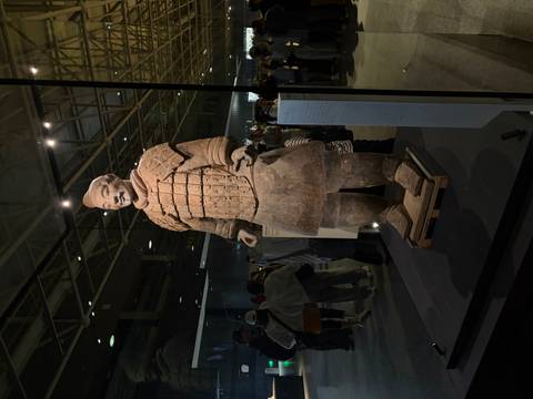       Terracotta Warrior statue on display inside a museum hall with visitors in the background
  