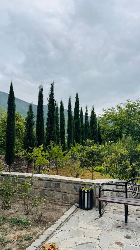       Row of tall cypress trees rising against misty forested hills and cloudy sky.
  