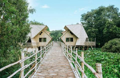       A wooden boardwalk leads to two thatched eco-cabins raised above a lush wetland filled with water plants.
  