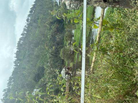       View of lush tropical hills and a small river taken through a moving vehicle window and guard rail.
  